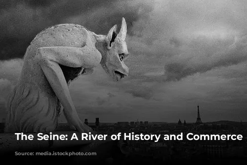 The Seine: A River of History and Commerce