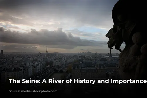 The Seine: A River of History and Importance