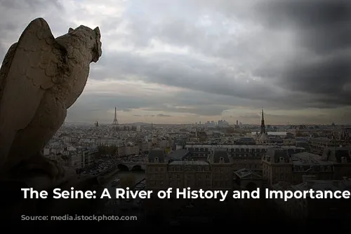 The Seine: A River of History and Importance