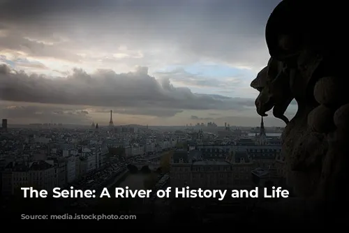 The Seine: A River of History and Life