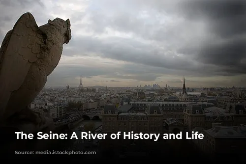 The Seine: A River of History and Life