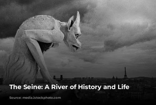 The Seine: A River of History and Life