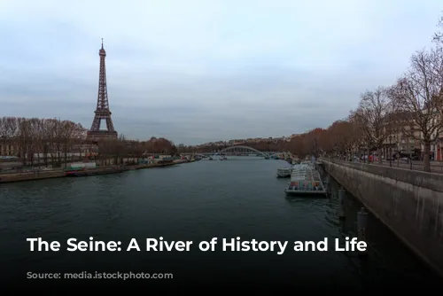 The Seine: A River of History and Life