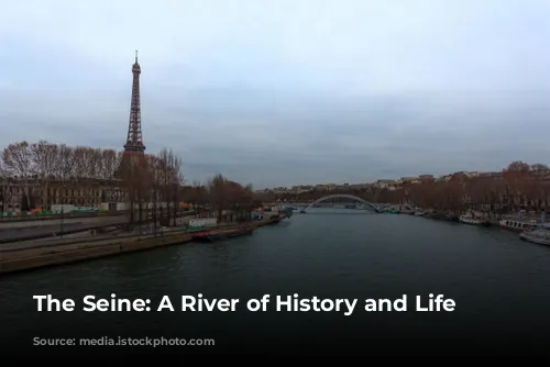 The Seine: A River of History and Life