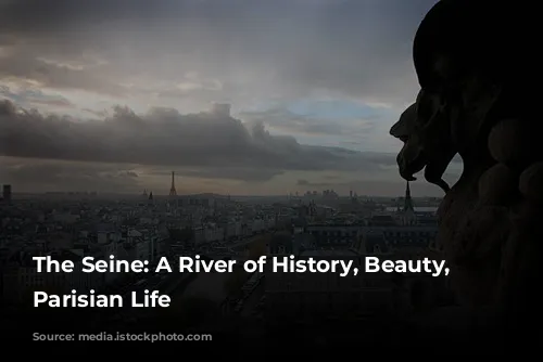 The Seine: A River of History, Beauty, and Parisian Life