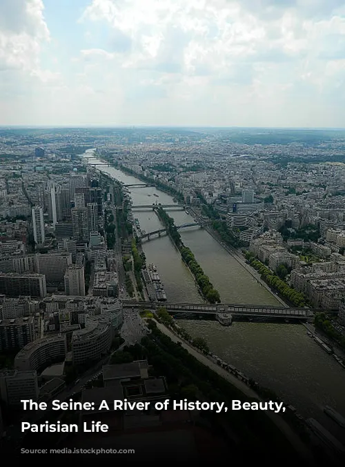 The Seine: A River of History, Beauty, and Parisian Life