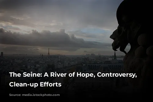 The Seine: A River of Hope, Controversy, and Clean-up Efforts