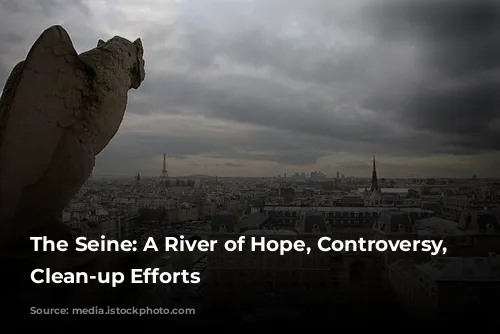 The Seine: A River of Hope, Controversy, and Clean-up Efforts