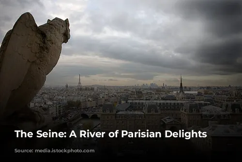 The Seine: A River of Parisian Delights