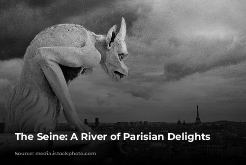 The Seine: A River of Parisian Delights