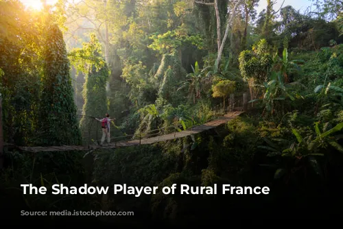 The Shadow Player of Rural France