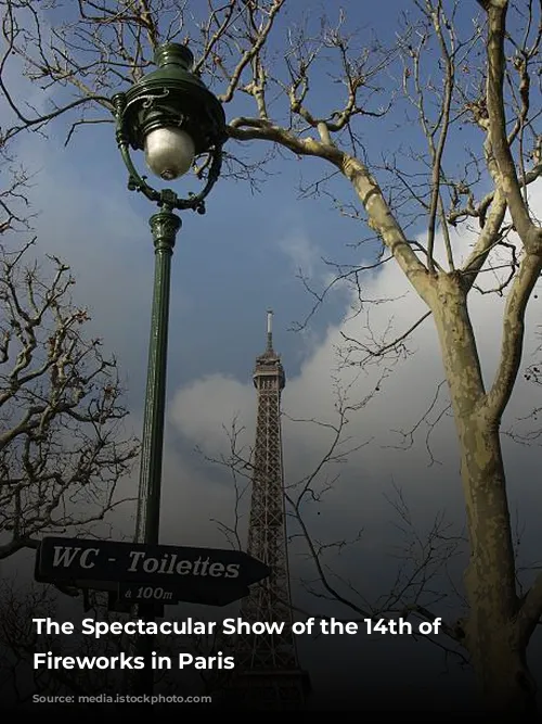 The Spectacular Show of the 14th of July Fireworks in Paris