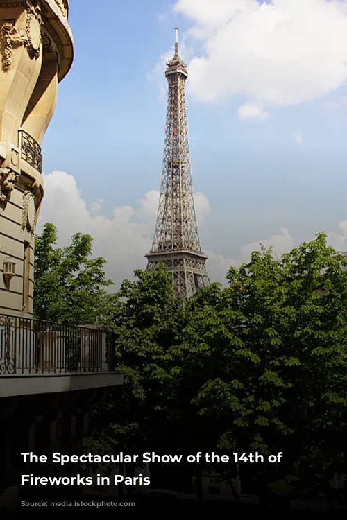 The Spectacular Show of the 14th of July Fireworks in Paris