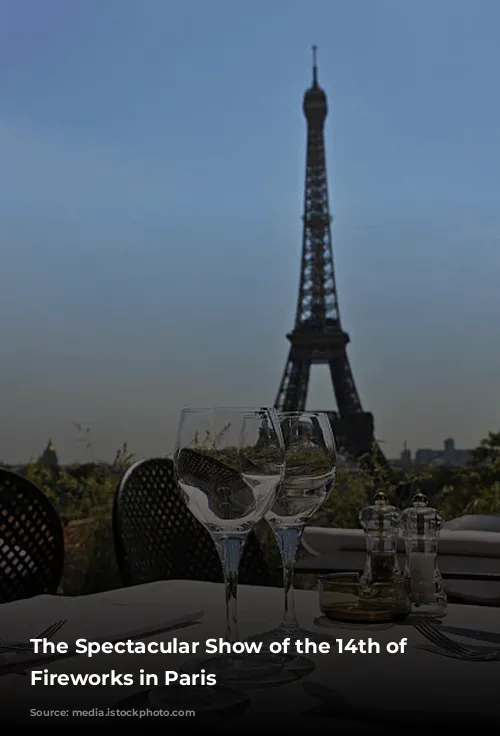 The Spectacular Show of the 14th of July Fireworks in Paris