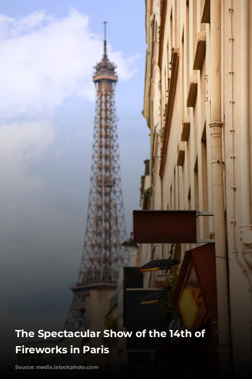 The Spectacular Show of the 14th of July Fireworks in Paris