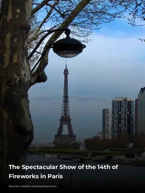 The Spectacular Show of the 14th of July Fireworks in Paris