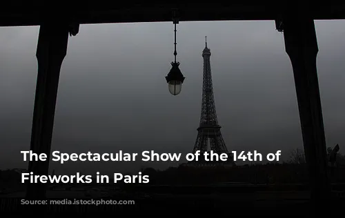 The Spectacular Show of the 14th of July Fireworks in Paris