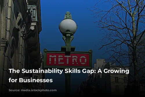 The Sustainability Skills Gap: A Growing Challenge for Businesses