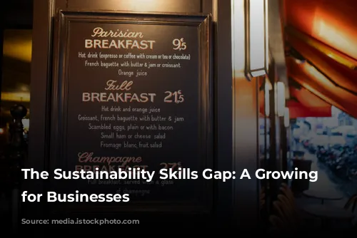 The Sustainability Skills Gap: A Growing Challenge for Businesses