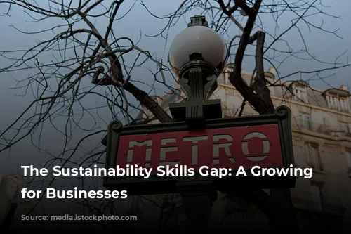 The Sustainability Skills Gap: A Growing Challenge for Businesses