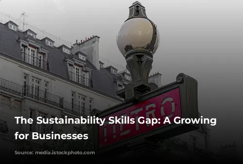 The Sustainability Skills Gap: A Growing Challenge for Businesses