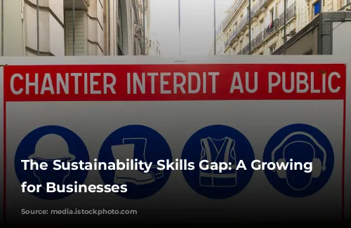 The Sustainability Skills Gap: A Growing Challenge for Businesses