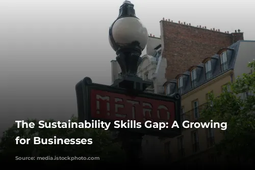 The Sustainability Skills Gap: A Growing Challenge for Businesses