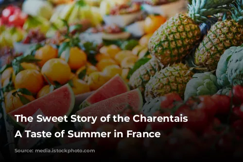 The Sweet Story of the Charentais Melon: A Taste of Summer in France