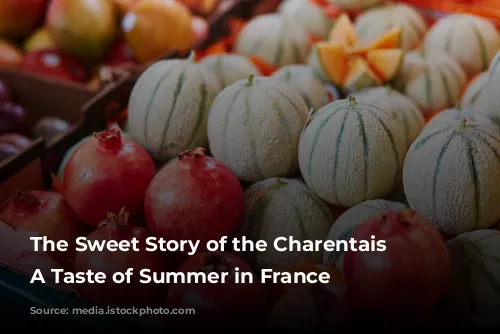 The Sweet Story of the Charentais Melon: A Taste of Summer in France