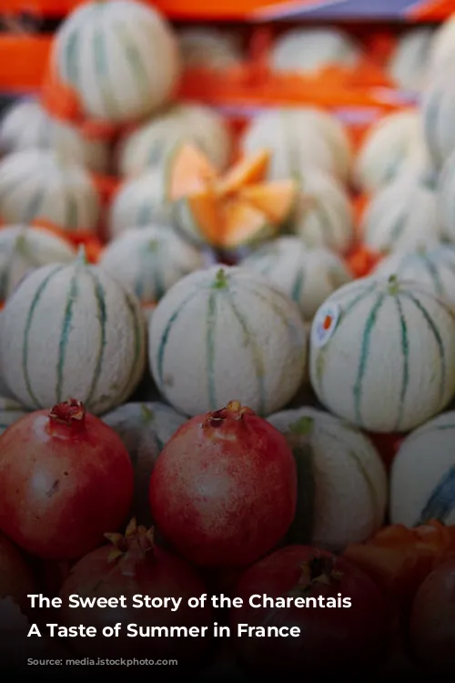 The Sweet Story of the Charentais Melon: A Taste of Summer in France