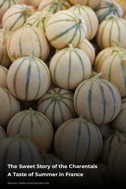 The Sweet Story of the Charentais Melon: A Taste of Summer in France