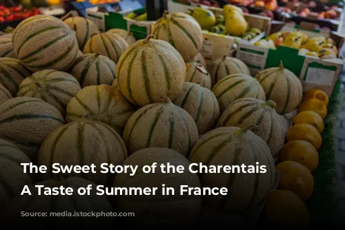 The Sweet Story of the Charentais Melon: A Taste of Summer in France