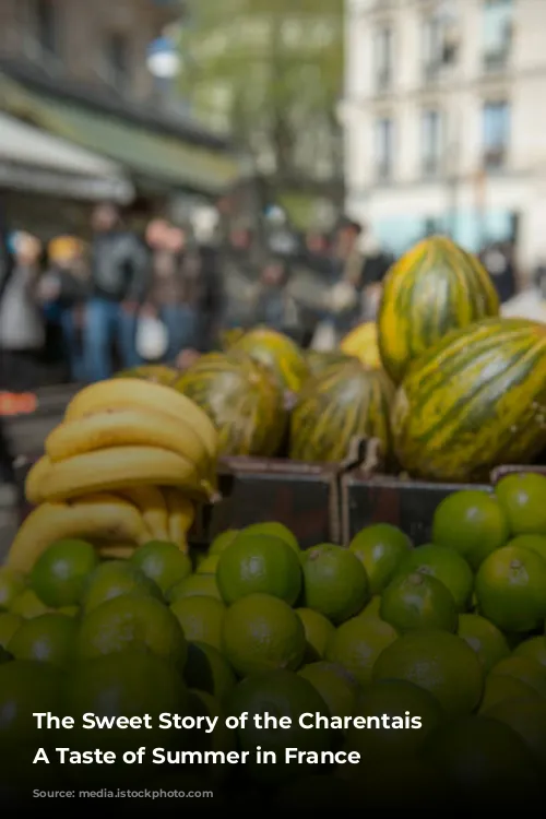 The Sweet Story of the Charentais Melon: A Taste of Summer in France