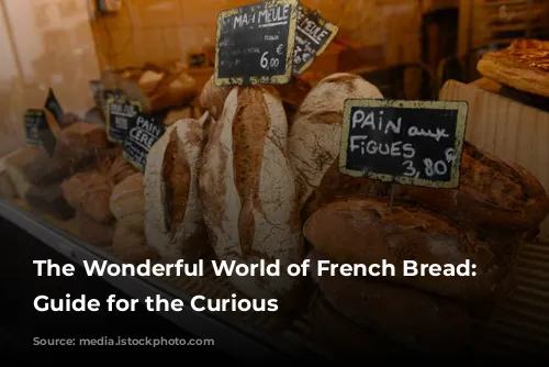 The Wonderful World of French Bread: A Guide for the Curious