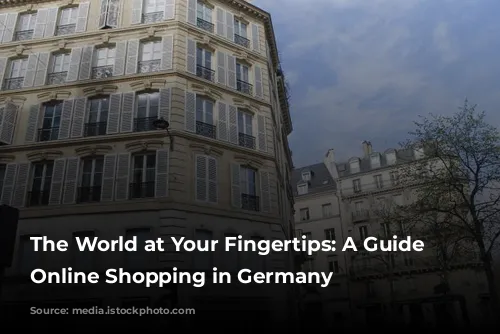 The World at Your Fingertips:  A Guide to Online Shopping in Germany