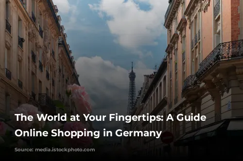 The World at Your Fingertips:  A Guide to Online Shopping in Germany