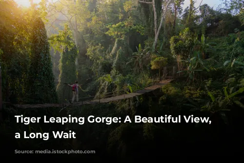 Tiger Leaping Gorge: A Beautiful View, But a Long Wait