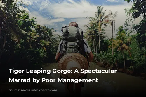 Tiger Leaping Gorge: A Spectacular View Marred by Poor Management