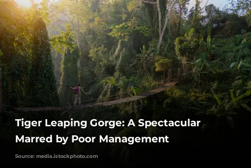 Tiger Leaping Gorge: A Spectacular View Marred by Poor Management