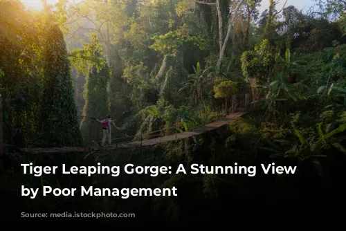 Tiger Leaping Gorge: A Stunning View Marred by Poor Management