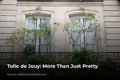 Toile de Jouy: More Than Just Pretty Pictures