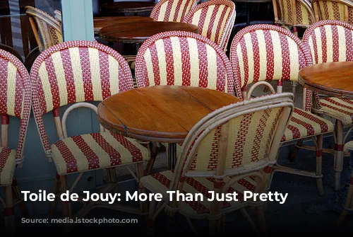 Toile de Jouy: More Than Just Pretty Pictures