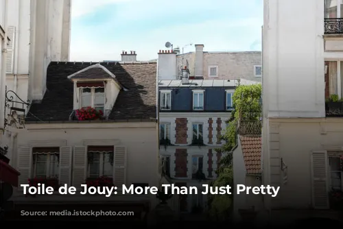 Toile de Jouy: More Than Just Pretty Pictures