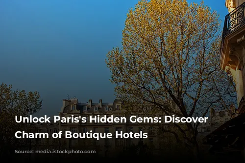 Unlock Paris's Hidden Gems: Discover the Charm of Boutique Hotels