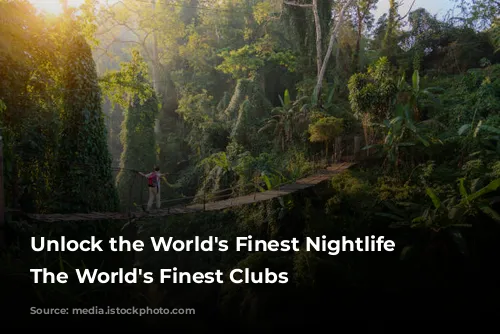 Unlock the World's Finest Nightlife with The World's Finest Clubs