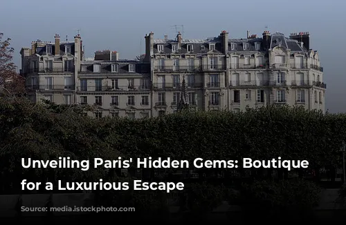 Unveiling Paris' Hidden Gems: Boutique Hotels for a Luxurious Escape