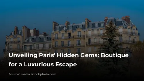 Unveiling Paris' Hidden Gems: Boutique Hotels for a Luxurious Escape