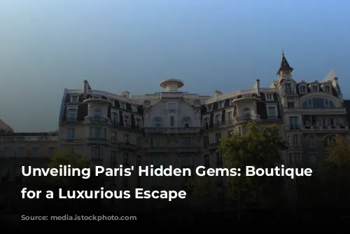 Unveiling Paris' Hidden Gems: Boutique Hotels for a Luxurious Escape