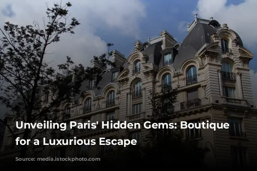 Unveiling Paris' Hidden Gems: Boutique Hotels for a Luxurious Escape