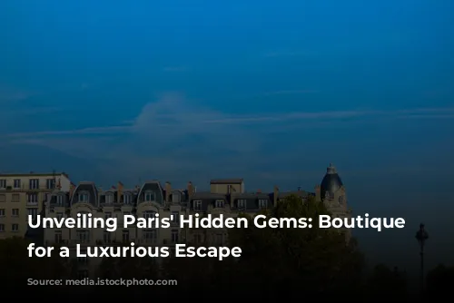 Unveiling Paris' Hidden Gems: Boutique Hotels for a Luxurious Escape